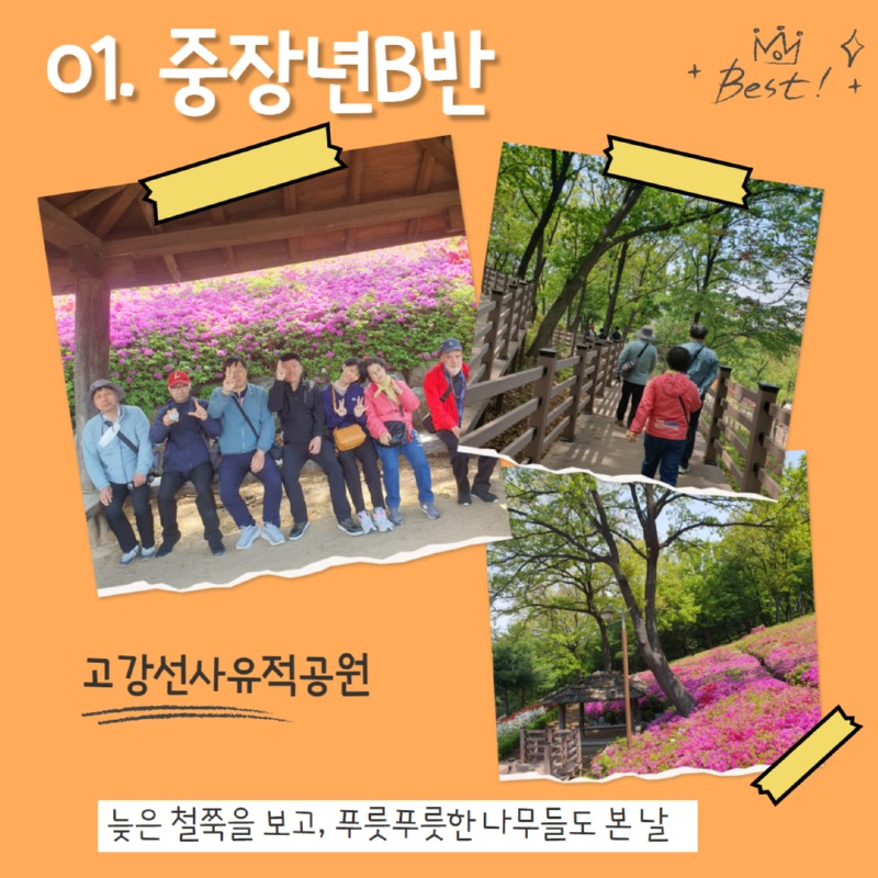 제목을 입력하세요 3.jpg